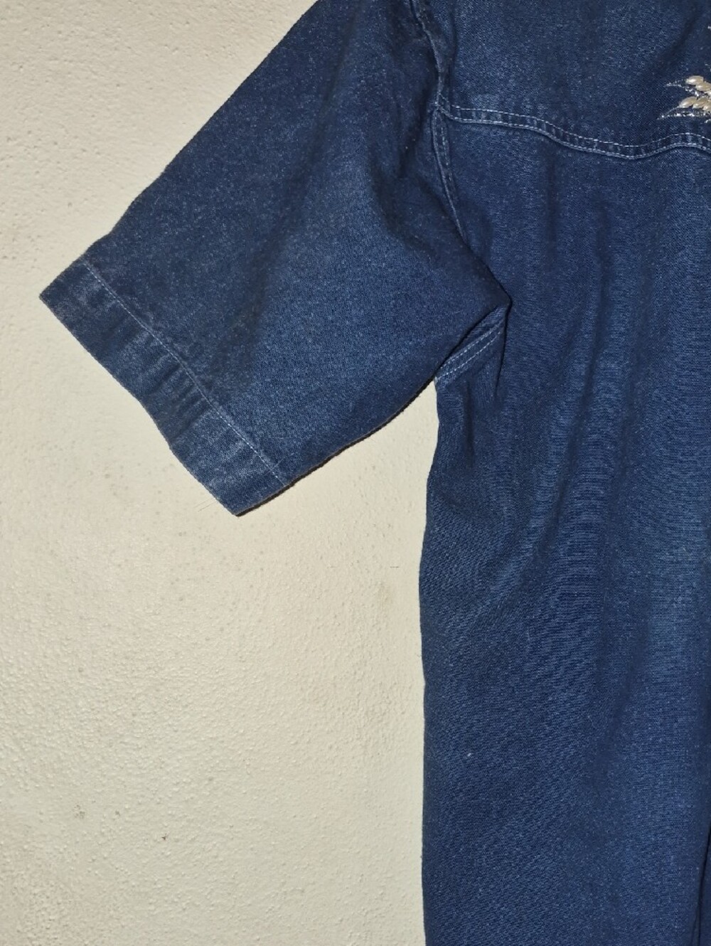Embroidered Denim Western Shirt - Blue - Picture 6 of 11